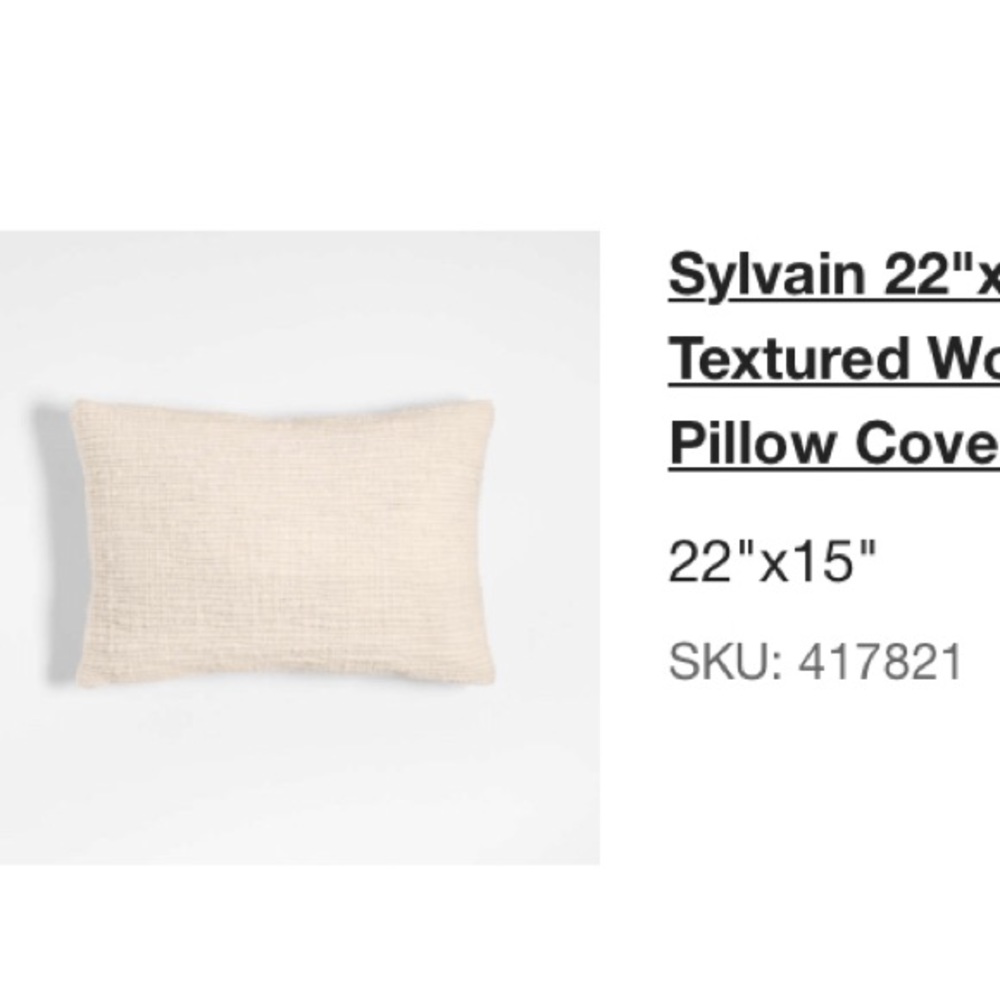 Crate&Barrel Ivory Sylvain Throw Pillow
